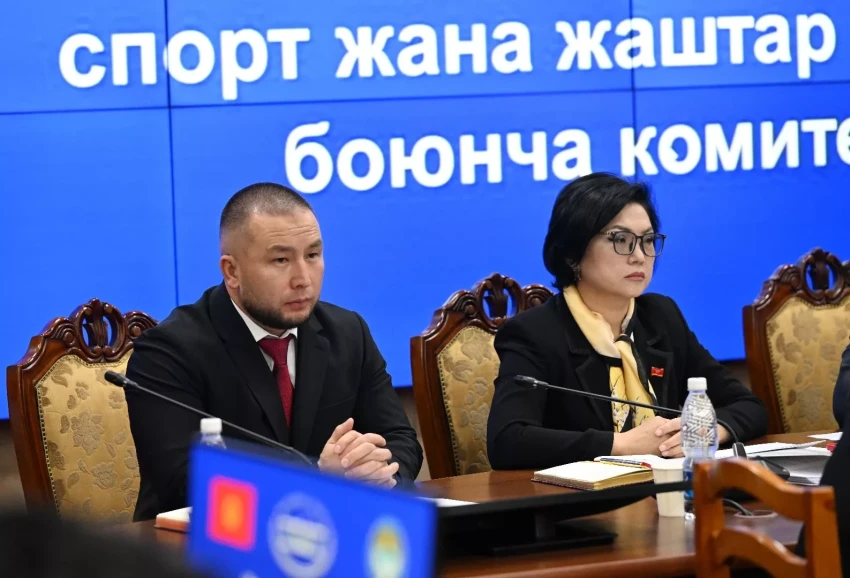 Профильдик комитет ЖК Кинематография департаментинин иши тууралуу маалымат угуп чыкты