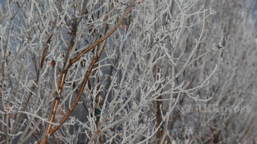 From Wednesday, rain and snow are expected in Uzbekistan