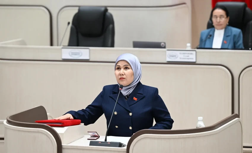 Депутат подняла вопрос строительства школ и статуса села в Ошской области