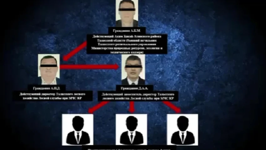 In the Talas Region, the Akim and the Director of the Forestry Department were detained