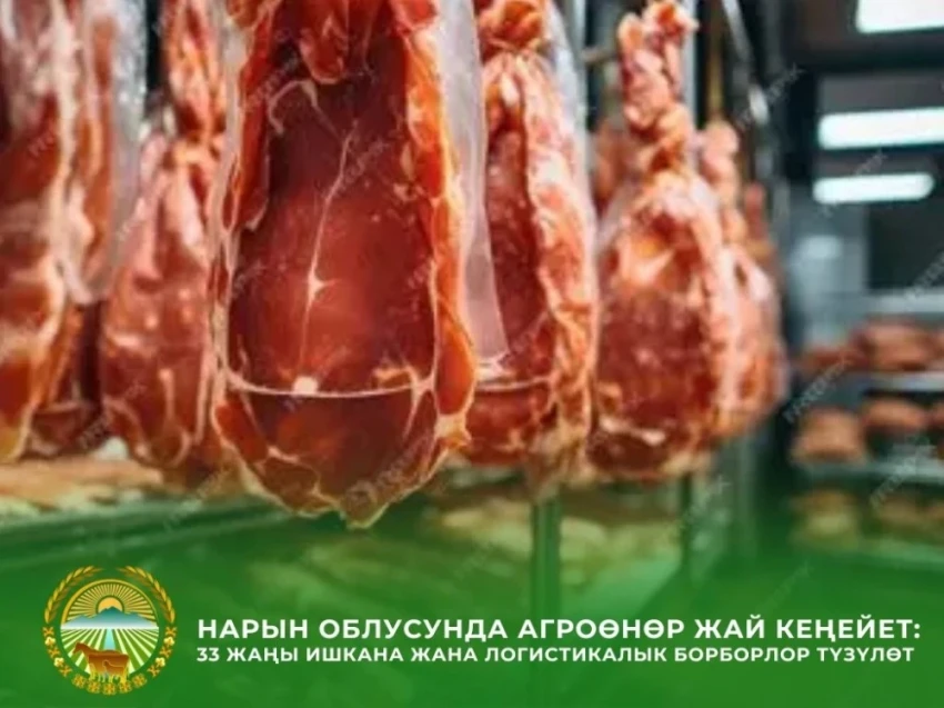 Why is meat export banned for everyone in Kyrgyzstan except for one company?