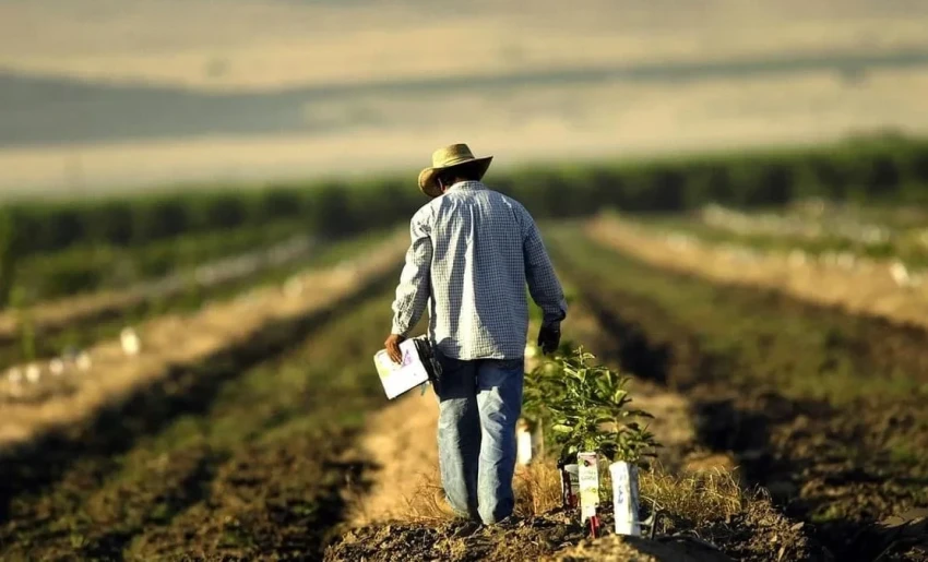 В Кыргызстане для фермеров поменялись правила обязательного медстрахования