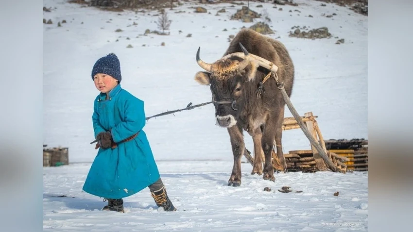 Сегодня по всей стране снега не ожидается, и погода будет стабильной