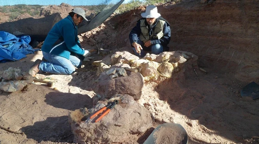 Remains of a Previously Unknown Titanosaur Discovered in Argentina