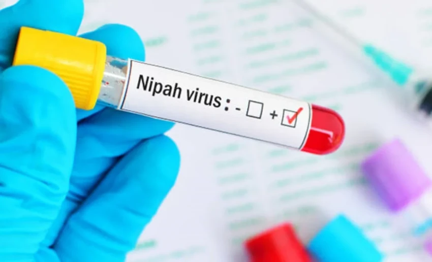 Import of animals from India to Kyrgyzstan temporarily restricted due to Nipah virus