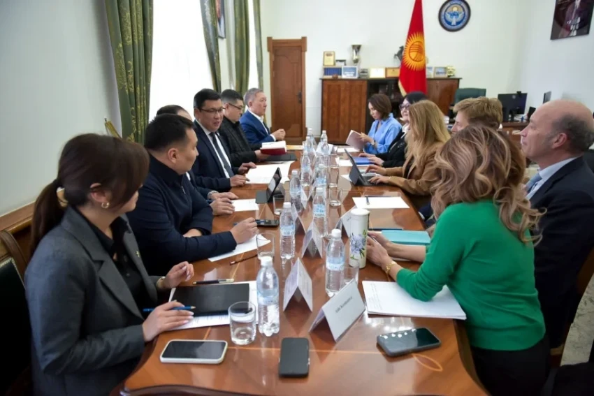 Green Belt of Bishkek. 50,000 Seedlings Received for the Greening of the Capital