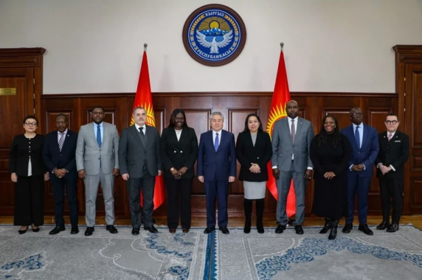 The Foreign Minister of the Kyrgyz Republic met with the Permanent Representatives of nine countries to the UN