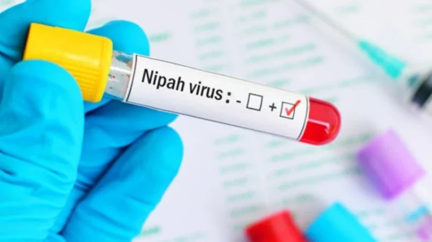Nipah Virus: Enhanced Infectious Safety Measures Implemented at the Borders of Kyrgyzstan