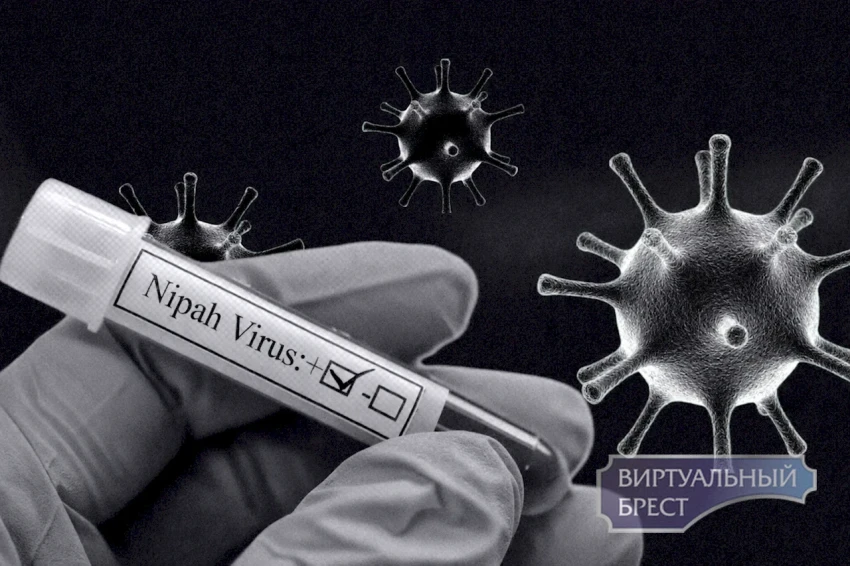 Virologist explains how the Nipah virus is transmitted from person to person