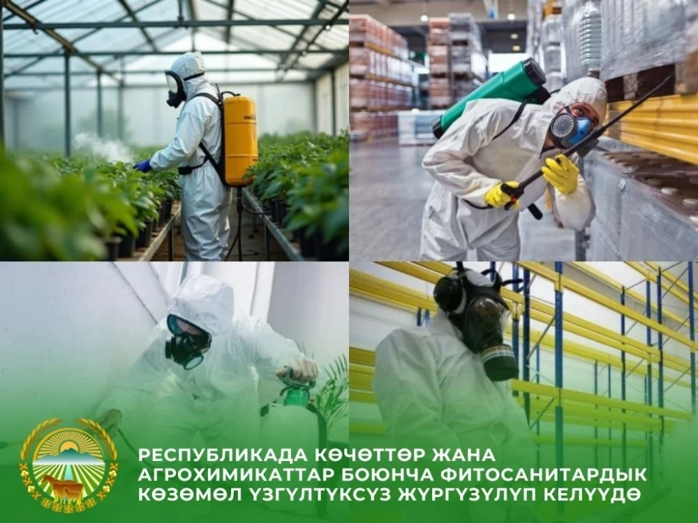 Kyrgyzstan Sharply Reduced Import of Seedlings