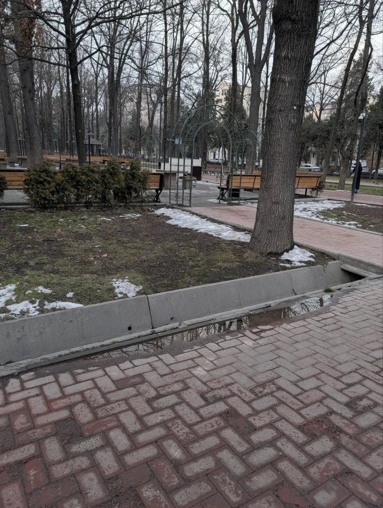 Call Center: Water Has Been Flowing from Underground on Erkindik Avenue for a Year