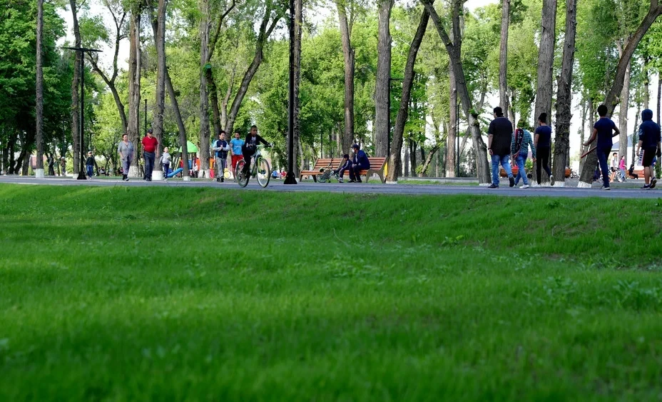 In Bishkek, plans are underway to increase green spaces and build new parks