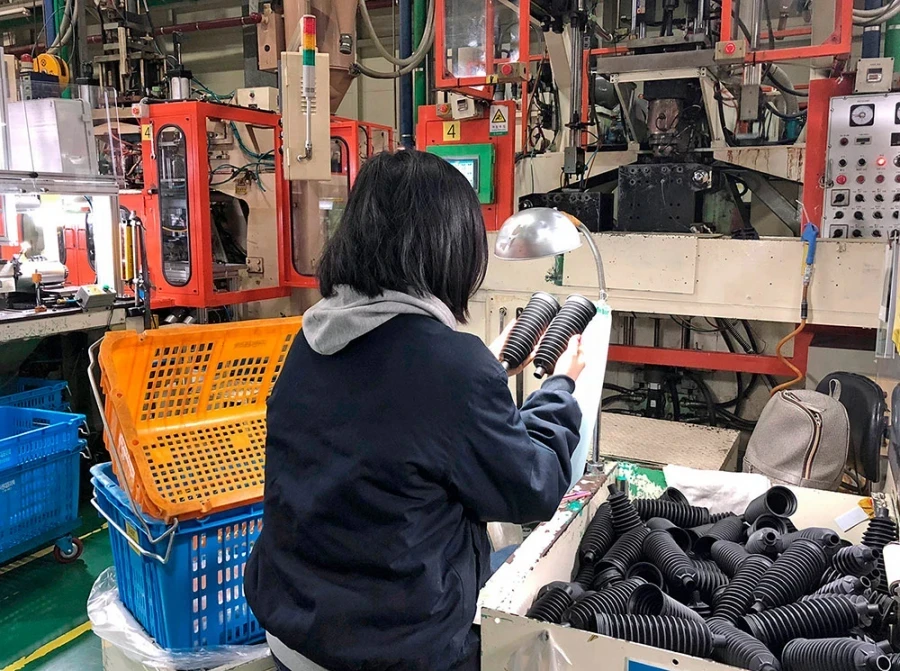 Kyrgyzstanis flew to South Korea for work