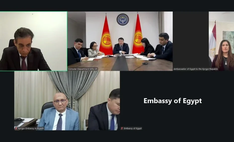 Kyrgyzstan and Egypt Discussed the Development of Consular Cooperation