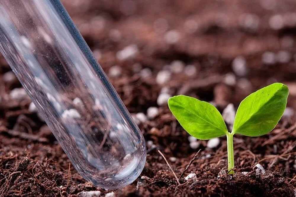 Soil Analysis Before the Season: The Ministry of Agriculture Published a List of Laboratories