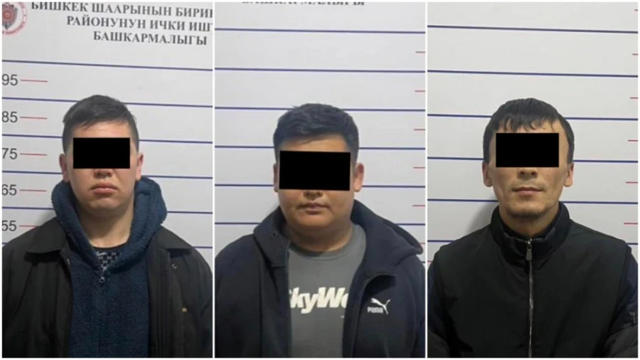 A woman received a call from the "GKNB, Ministry of Internal Affairs, and National Bank," after which she sold her apartment and transferred 10.6 million soms.