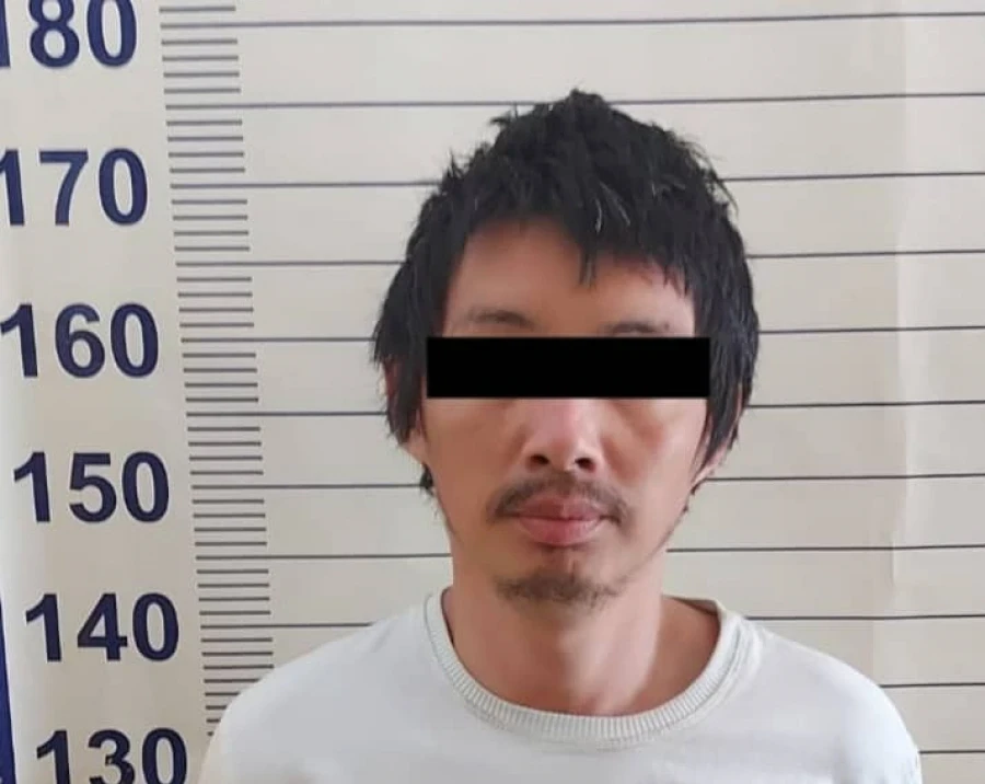 In the Issyk-Ata District, sheep were stolen through the Lalafo service