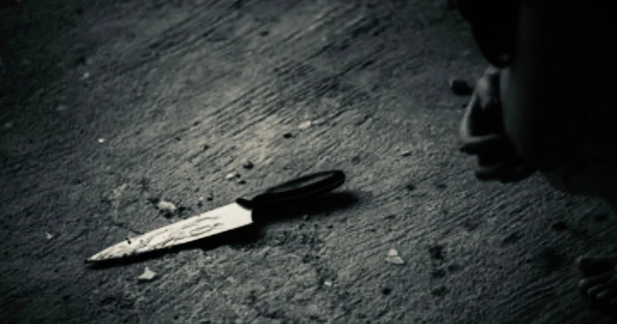 A 19-Year-Old Girl Was Stabbed Near Bishkek on the Bypass Road