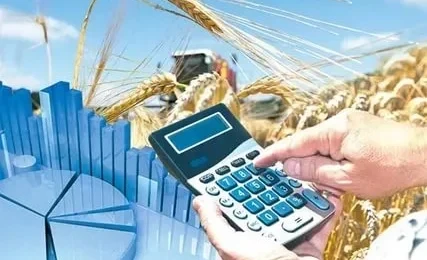 A mechanism for financial support of projects in the agro-industrial complex is being launched in the EAEU.