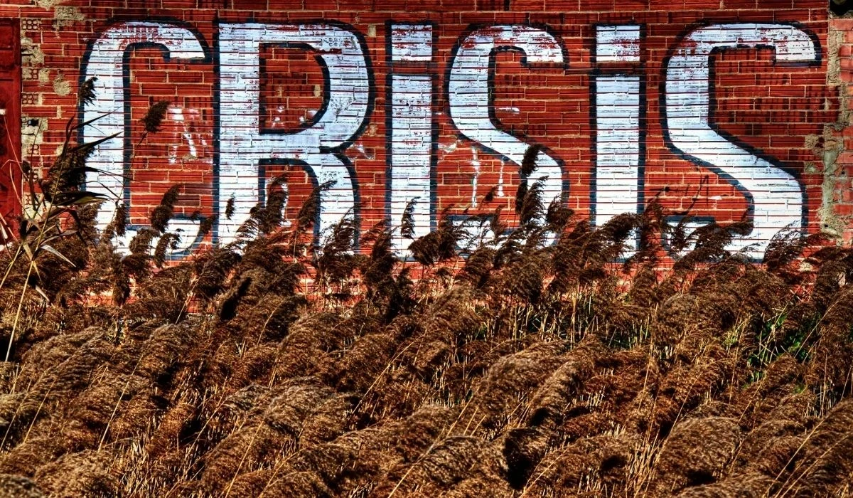 The collapse of tech companies by a trillion dollars will affect all stocks that have come in the way of AI