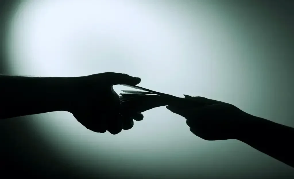 In Kyrgyzstan, the volume of the shadow economy for 2024 has been assessed