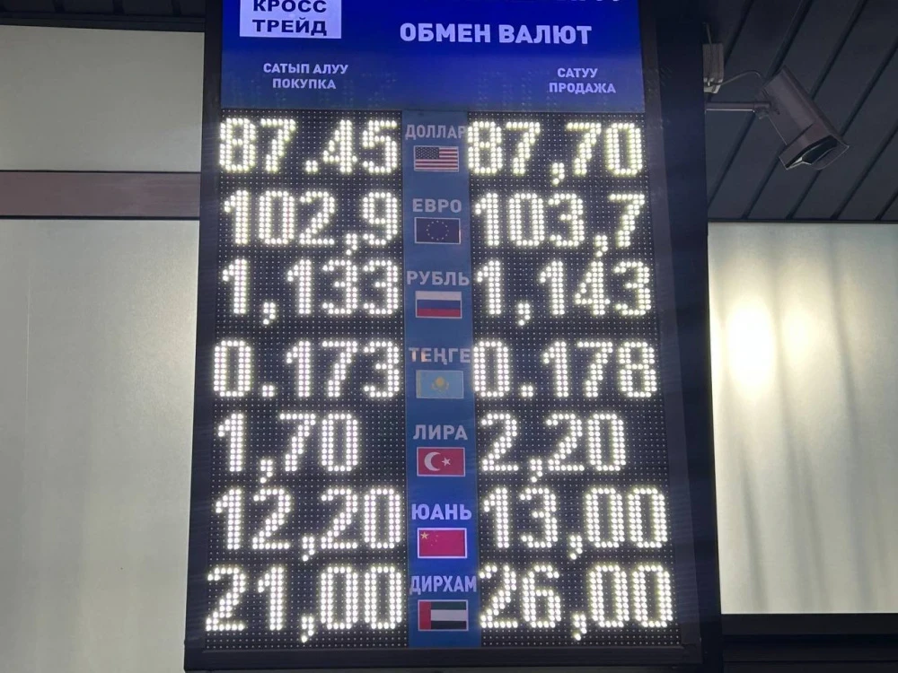 Exchange Rate at the Moscow City Council on February 6: Which Currency Changed in Price?