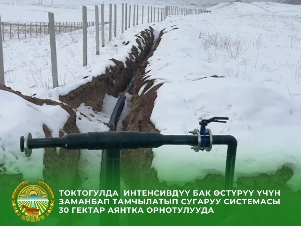 Intensive Horticulture is Being Implemented in Toktogul on Arid Lands