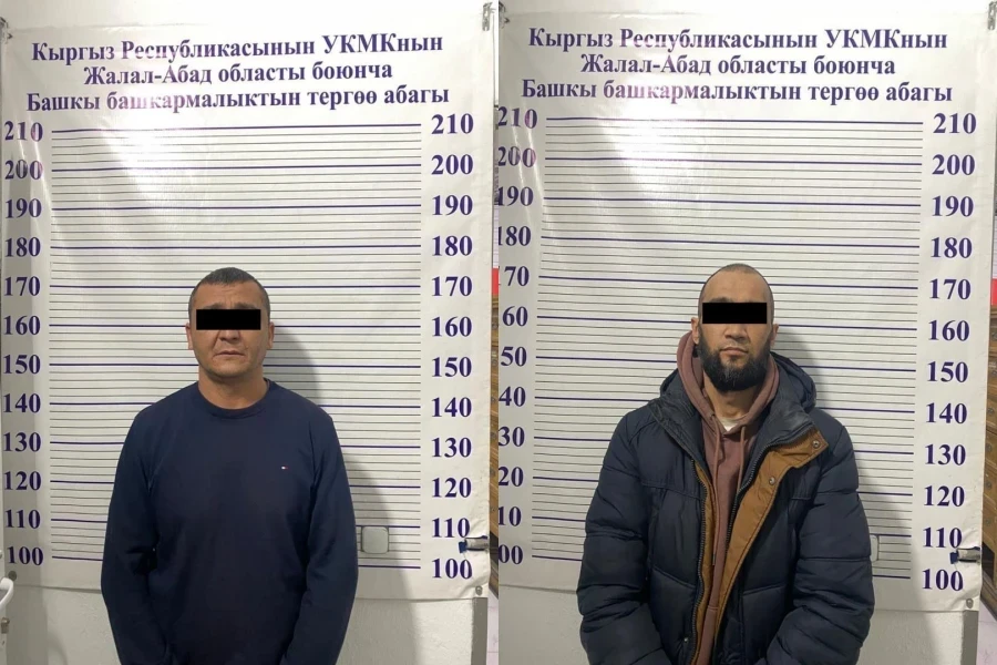 In Kyrgyzstan, a large scheme of illegal land sales in the Suzak district has been thwarted