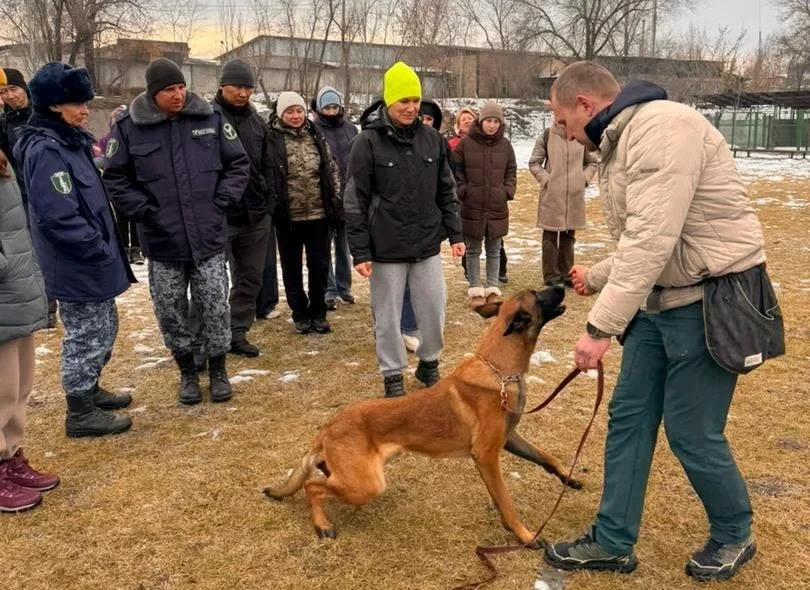 Dog handlers of the GTS were trained in modern training methods