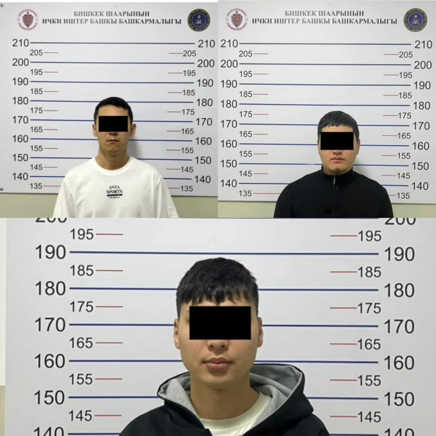 Internet scammers in Bishkek seized 22.13 million soms