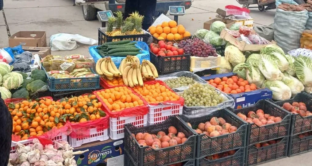 Agricultural Fairs Held in Manas and Toktogul Districts