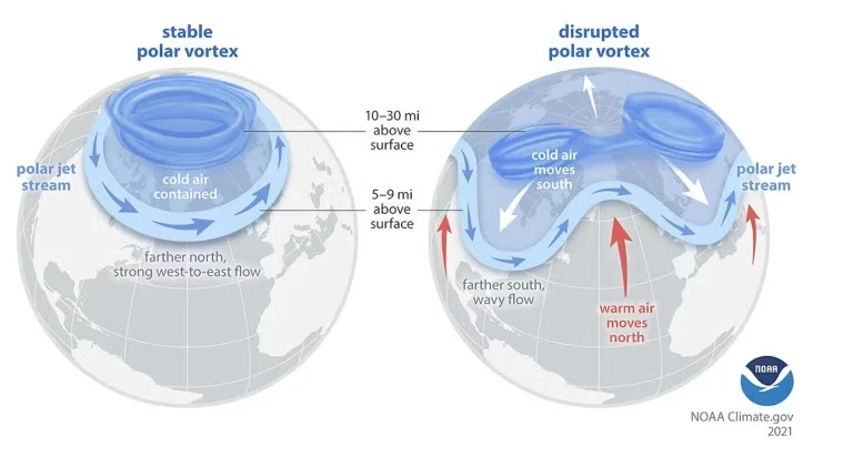 Forecast of Polar Vortex Destruction: Arctic Air to Arrive in the USA and Europe