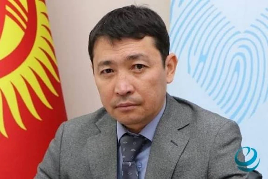 Курс на модернизацию и глобальный диалог: как Казахстан выстраивает новую модель развития