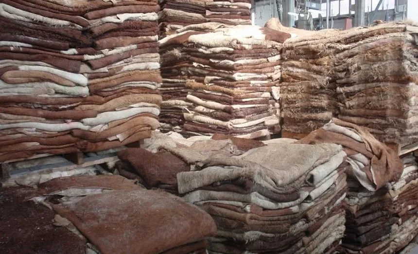 Residents of Naryn Region Request the Construction of a Skin Processing Plant - Deputy