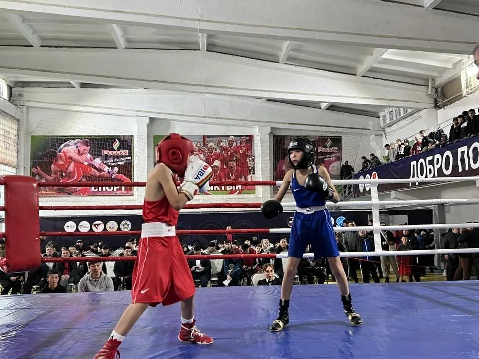The championship of the Kyrgyz Republic in boxing among youth has started in the Osh region.