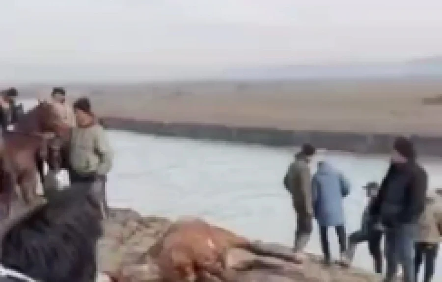 In Uzgen, a man died during a ulak tartysh