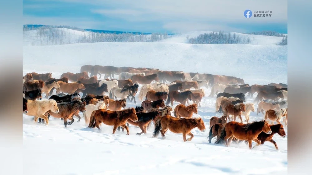Сегодня в большинстве районов Монголии ожидается потепление