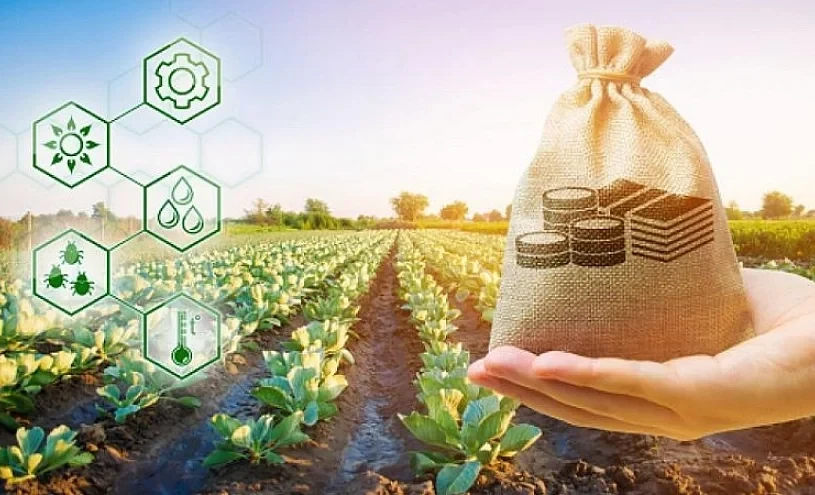 In the Kyrgyz Republic, electronic submission of applications for agricultural loans is being launched