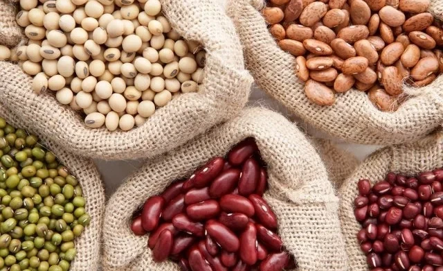 Torobaev: Beans Have Become a Commodity on the Exchange, but Export Requires Processing