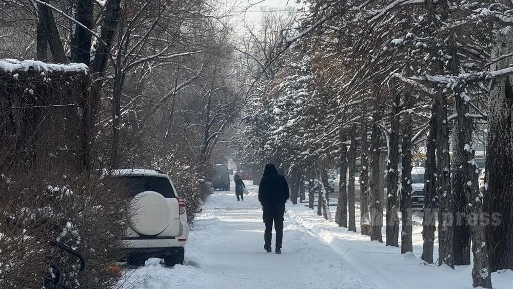 Rain and Snow Expected in Southern and Southeastern Kazakhstan