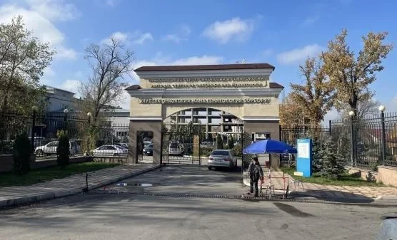 In Kyrgyzstan, about 6,000 new cases of cancer are detected annually - Jumabaev