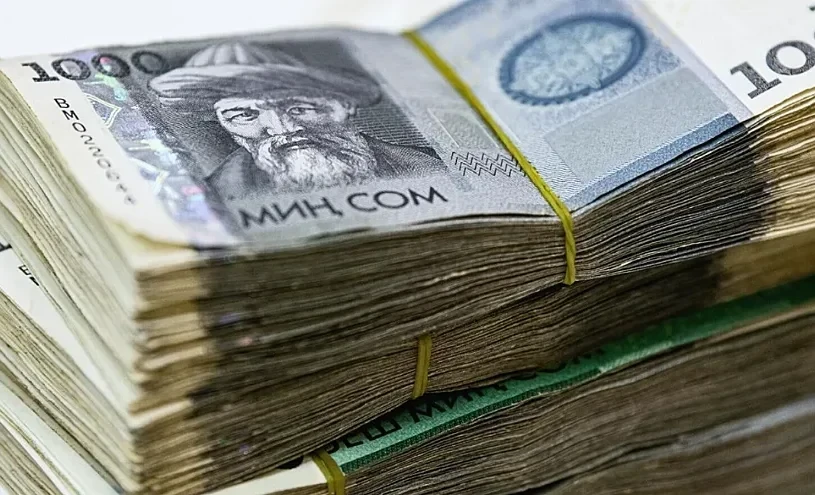 The Guarantee Fund provided businesses with loans of nearly 55 billion soms