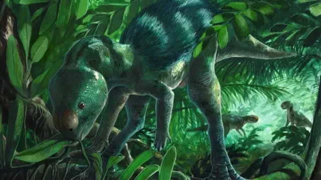 Scientists have discovered a new species of dinosaur. It was unusually tiny — the size of a chicken.