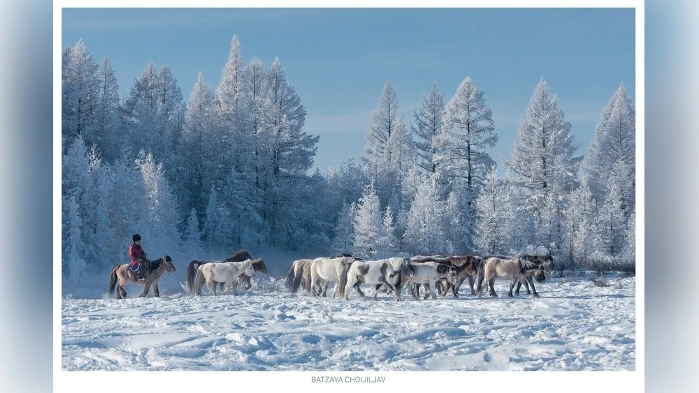 Монголиядагы аба ырайы туруктуу
