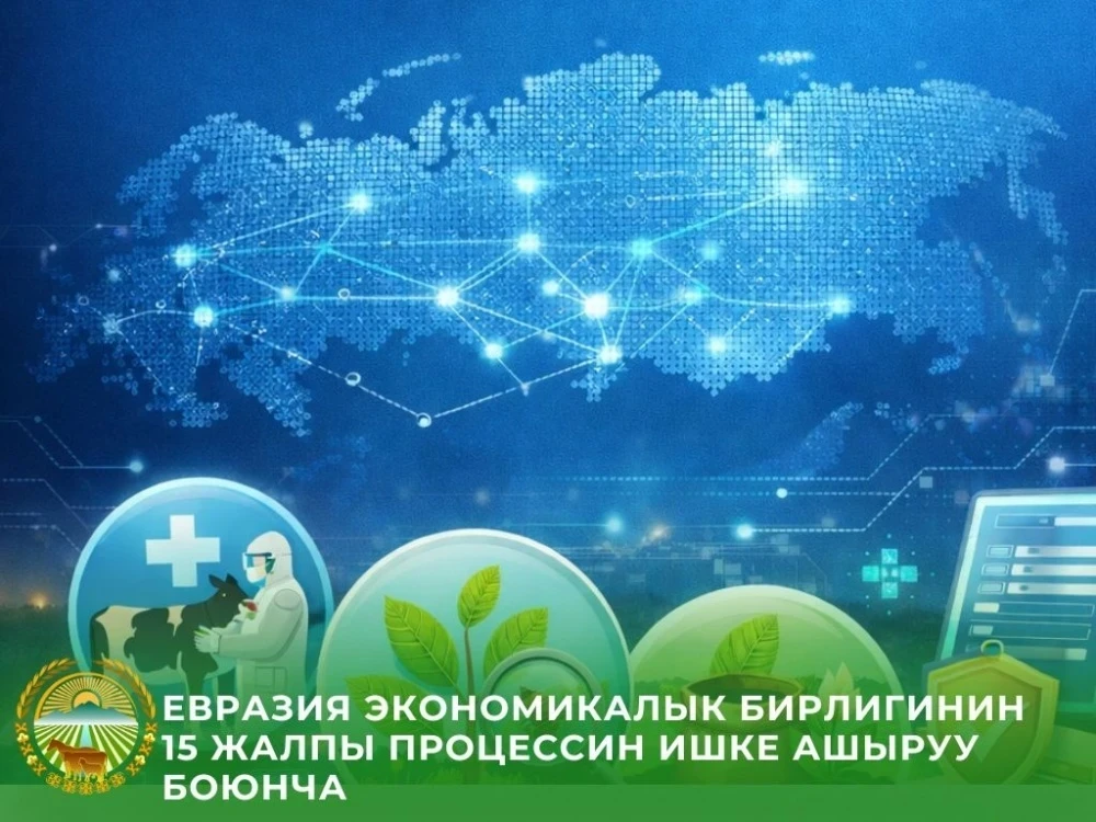 Кыргызстан ЕАЭБдин бирдиктүү контролдоо системасына интеграцияны аяктады