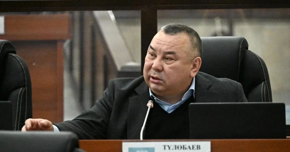 Балбак Тулобаев Жогорку Кенештин аппаратына жетекчилик кылышы мүмкүн — булактар
