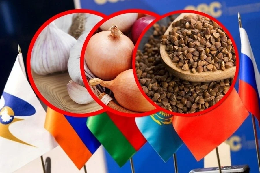 Фитосанитардык көзөмөл ЕАЭБде сары схемалардан улам күчөтүлдү