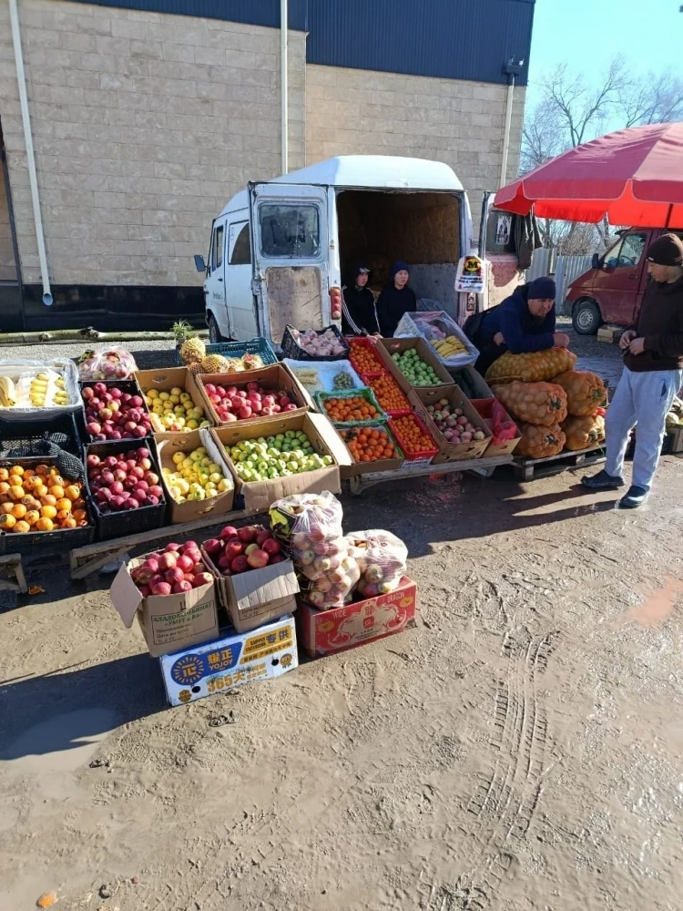 Фермердик базарлар Чүй облусунда арзандатылган баалар менен өттү