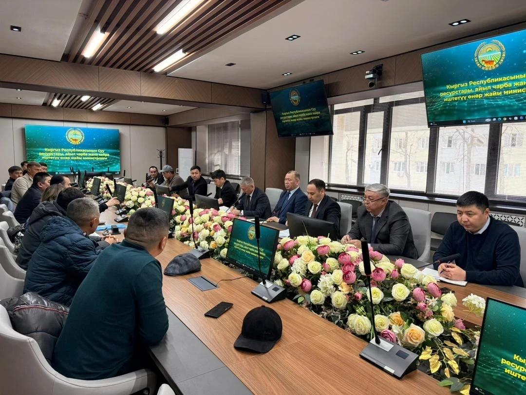 Кабмин балыктар үчүн жем даярдоочуларды колдоо чараларын даярдап жатат