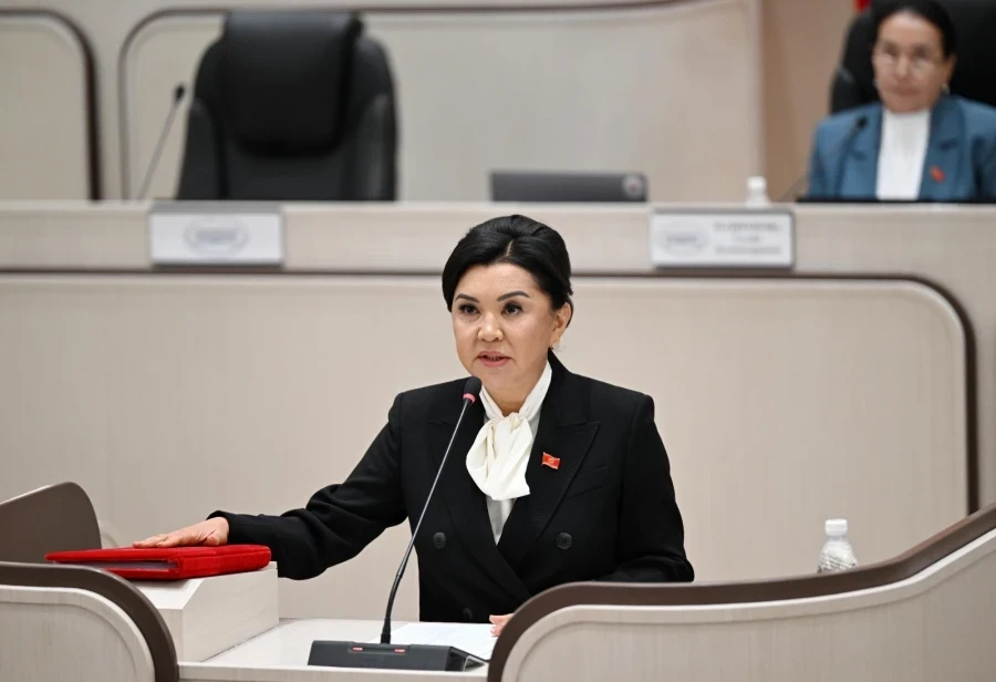 Депутат Жылдыз Садырбаева кандын куюу уюштуруу маселеси боюнча: «Кымбат убакыт жоголуп жатат»